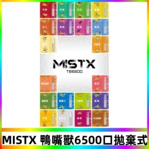 MIST X 鴨嘴獸6500口拋棄式電子煙#台灣現貨#